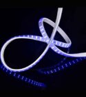 STRIP LIGHT-5050RGB-96L-12mm-2 Line